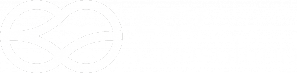 ecv consulting Unternehmensberatung für kleine Betriebe von der Baustelle